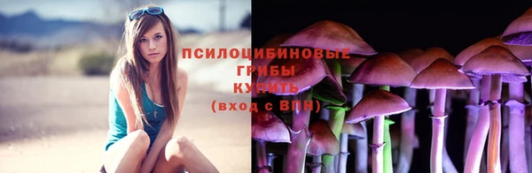 дживик Абаза