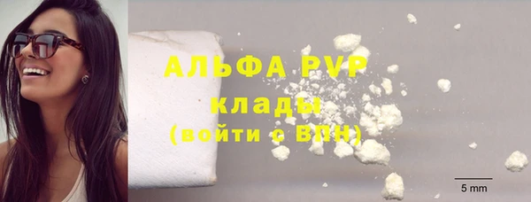 дживик Абаза