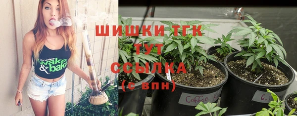 дживик Абаза