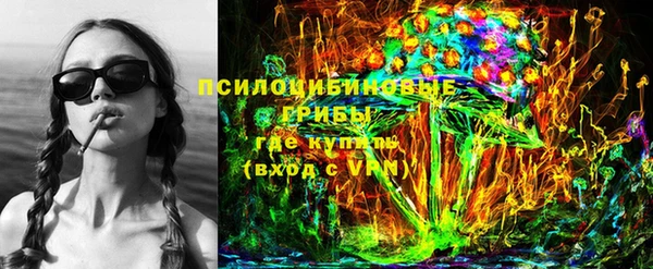 дживик Абаза