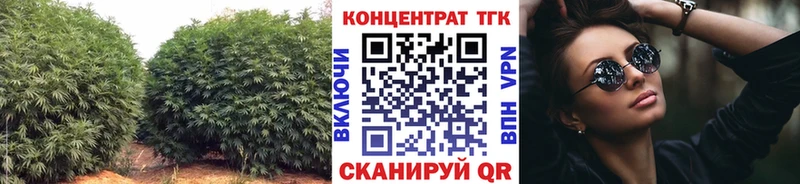 Дистиллят ТГК THC oil  мориарти телеграм  mega ССЫЛКА  Сергач  где купить  