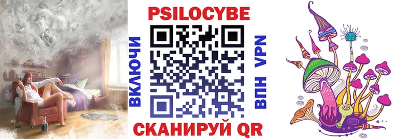 Галлюциногенные грибы Psilocybine cubensis  Сергач 